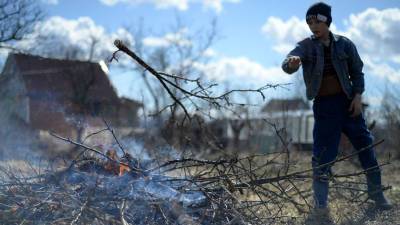 В России повысился спрос на благоустройство садовых участков - gazeta.ru
