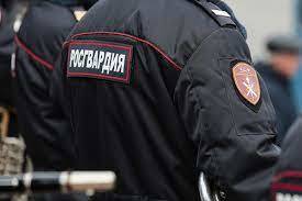 Росгвардеец, изнасиловавший 11-летнего мальчика, получил 14 лет строгого режима - newsland.com - Пермь
