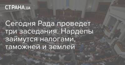 Сегодня Рада проведет три заседания. Нардепы займутся налогами, таможней и землей - strana.ua