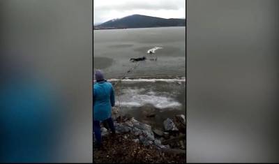 Житель Белорецка прополз по тонкому льду водоема, чтобы спасти собаку - mkset.ru - Белорецк