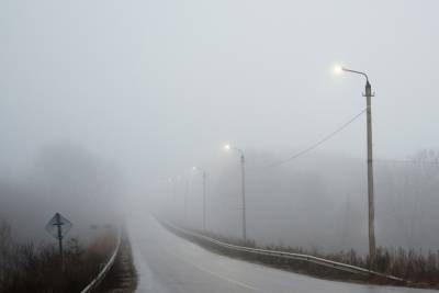 Прокуратура Тульской области обнаружила неучтенную дорогу - tula.mk.ru - Тула - Тульская обл. - район Каменский