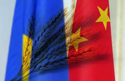 Тарас Качка - Половина украинского экспорта в Китай — агропродукция - agroportal.ua - Китай