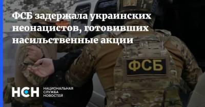 Егор Краснов - ФСБ задержала украинских неонацистов, готовивших насильственные акции - nsn.fm - Украина