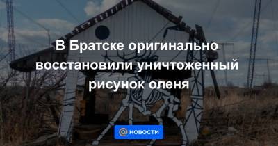 В Братске оригинально восстановили уничтоженный рисунок оленя - news.mail.ru - Братск