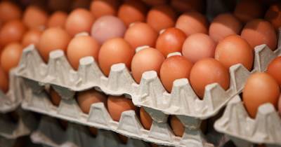 Сергей Лахтюхов - Российские производители зафиксировали снижение цен на яйца - klops.ru