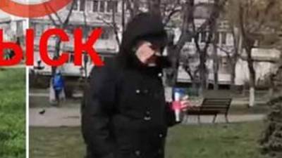В Киеве владельца стаффа-убийцы с Оболони отпустили из полиции - 24tv.ua - Киев - Новости