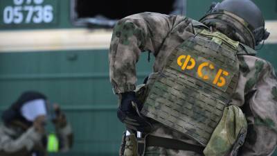 ФСБ объявила о задержании украинских националистов в девяти городах (видео) - sharij.net - Анапа - Краснодар - Саратов - Тюмень - Иркутск - Тамбов - Чита - Пущино