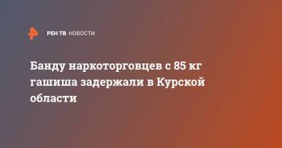 Ирина Волк - Банду наркоторговцев с 85 кг гашиша задержали в Курской области - ren.tv - Курская обл.