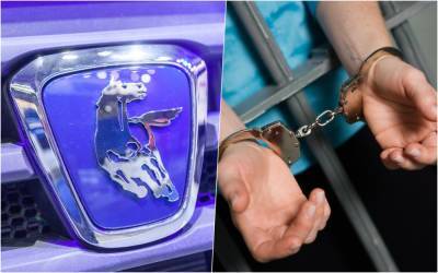 Ирина Волк - В пяти регионах лже-дилеры продавали самопальные КАМАЗы - zr.ru