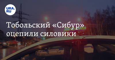 Тобольский «Сибур» оцепили силовики - ura.news