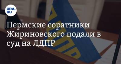 Пермские соратники Жириновского подали в суд на ЛДПР - ura.news - Пермь