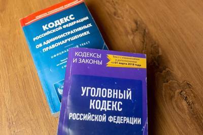 Алексей Навальный - Иван Жданов - Леонид Волков - Навальный, Волков и Жданов стали фигурантами нового дела по экзотической статье УК РФ - znak.com - Владимирская обл.