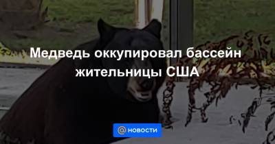Медведь оккупировал бассейн жительницы США - news.mail.ru - шт.Флорида