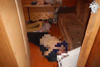 В Павловском районе хозяин убил гостя и спрятался в погребе - nn.mk.ru - район Павловский