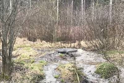 За разлив канализации на петрозаводской Ключевой отвечает компания из Оренбурга - karel.mk.ru - Оренбург - республика Карелия - Экология