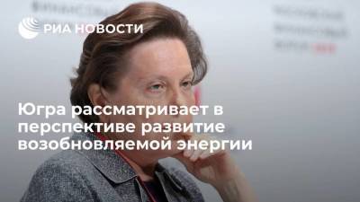 Наталья Комарова - Югра рассматривает в перспективе развитие возобновляемой энергии - smartmoney.one - Ханты-Мансийск - Югра