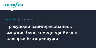 Прокуроры заинтересовались смертью белого медведя Умки в зоопарке Екатеринбурга - interfax.ru - Москва - Екатеринбург