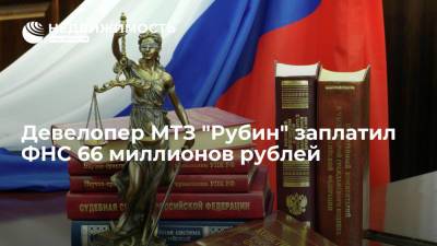 Девелопер МТЗ "Рубин" заплатил ФНС 66 миллионов рублей - realty.ria.ru - Москва