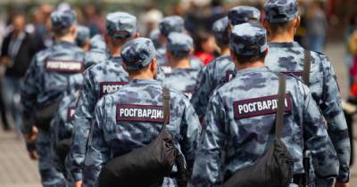 Росгвардия потратит почти 4,8 млн рублей на «киносъемочную аппаратуру» - readovka.news