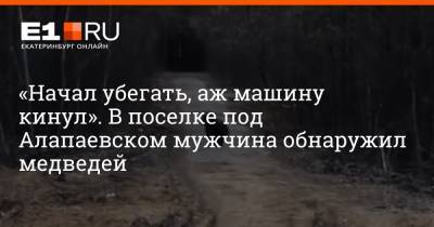 «Начал убегать, аж машину кинул». В поселке под Алапаевском мужчина обнаружил медведей - e1.ru - Екатеринбург - Алапаевск