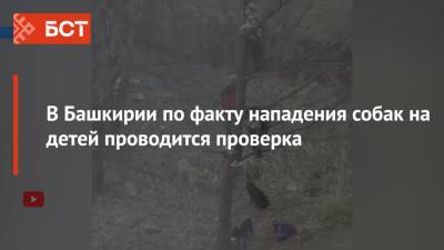 В Башкирии стая собак загнала детей на дерево - bash.news - Башкирия