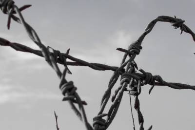 К границе Таджикистана и Киргизии стягивают войска, есть первые жертвы - mk.ru - Киргизия - Таджикистан