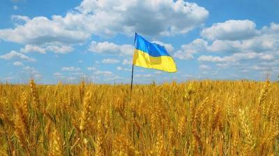О скрытых законодательных технологиях и лжи власти на Украине - geo-politica.info - Мумбаи