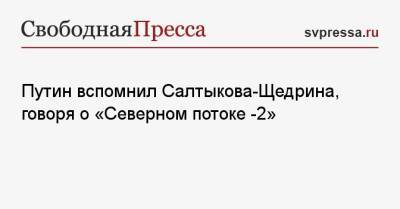 Владимир Путин - Путин вспомнил Салтыкова-Щедрина, говоря о «Северном потоке -2» - svpressa.ru
