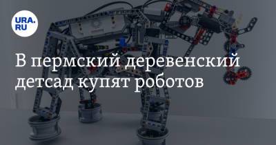 В пермский деревенский детсад купят роботов - ura.news - Пермский край
