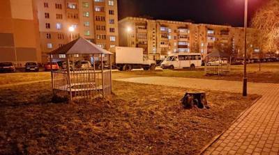 Оксана Лазько - В Витебске пьяный мужчина угрожал ножом несовершеннолетним - ont.by - Витебск