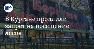 Андрей Потапов - В Кургане продлили запрет на посещение лесов - ura.news