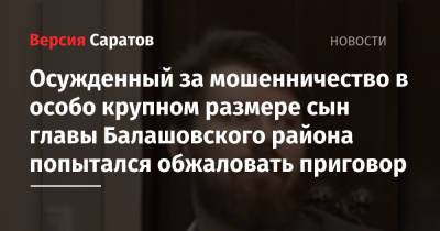 Осужденный за мошенничество в особо крупном размере сын главы Балашовского района попытался обжаловать приговор - nversia.ru - Саратов - район Балашовский