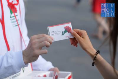 В Дагестане стартовала акция «Красная гвоздика» - mirmol.ru - респ. Дагестан