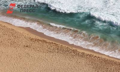 В Крыму появится «Казантипский морской» заказник - fedpress.ru - Крым - Симферополь