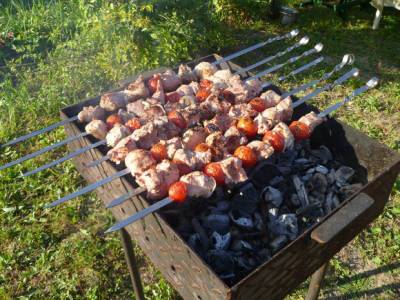 С 1 мая в Подмосковье запретят жарить шашлыки на природе - rosbalt.ru - Московская обл.