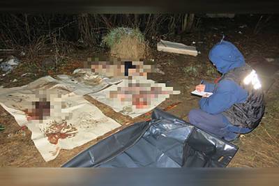 В Чувашии нашли расчлененные останки мужчины, пропавшего в новогоднюю ночь - cheb.mk.ru - респ. Чувашия - район Чебоксарский