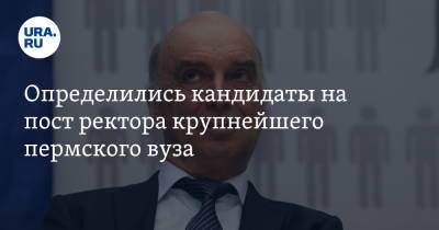 Определились кандидаты на пост ректора крупнейшего пермского вуза - ura.news - Пермь