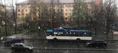 Последний день апреля в Карелии будет снежным - stolicaonego.ru - Петрозаводск - республика Карелия