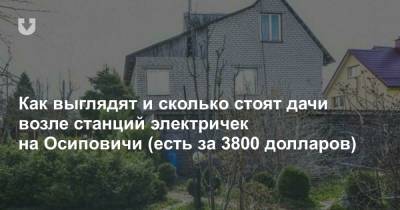 Как выглядят и сколько стоят дачи возле станций электричек на Осиповичи (есть за 3800 долларов) - news.tut.by - Орша