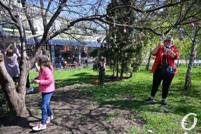 В одесском Горсаду расцвело Пасхальное дерево (фоторепортаж) - odessa-life.od.ua - Одесса