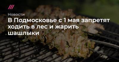 В Подмосковье с 1 мая запретят ходить в лес и жарить шашлыки - tvrain.ru - Санкт-Петербург - Московская обл.