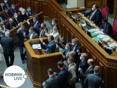 Обсуждают котиков: стало известно, чем заняты нардепы в Верховной Раде - news.bigmir.net - Новости