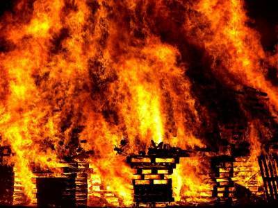 Боевики сжигают дома граждан Мозамбика, вынуждая их бежать из страны - bloknot.ru - Танзания - Пальма - Мозамбик