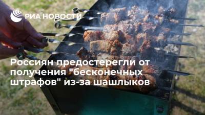 Россиян предостерегли от получения "бесконечных штрафов" из-за шашлыков - ria.ru - Москва - Россия - Санкт-Петербург