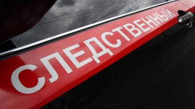 В Краснодарском крае возбудили уголовное дело о реабилитации нацизма - iz.ru - Краснодарский край - Кубань - Ейск