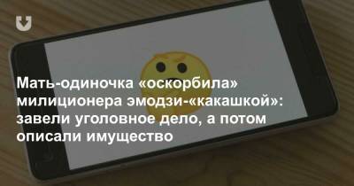 Мать-одиночка «оскорбила» милиционера эмодзи-«какашкой»: завели уголовное дело, а потом описали имущество - news.tut.by - Брестская обл.