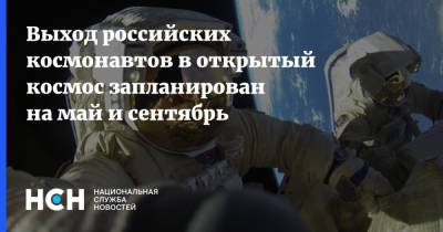 Выход российских космонавтов в открытый космос запланирован на май и сентябрь - nsn.fm