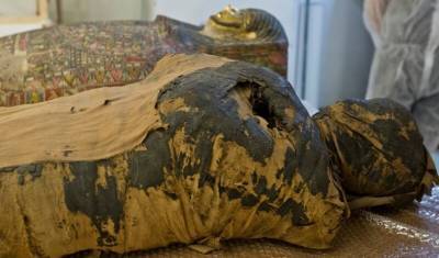 Единственная египетская мумия беременной обнаружилась в Польше - newizv.ru