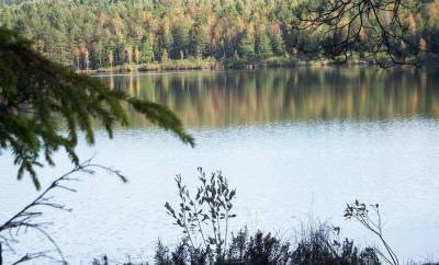 Healing sphagnum, crystal water and a memorial monastery - grodnonews.by - Belarus