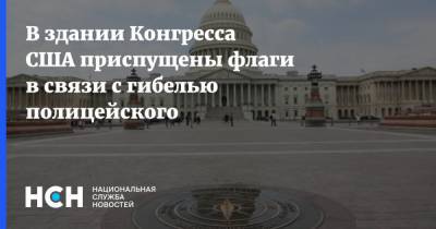 Нэнси Пелоси - В здании Конгресса США приспущены флаги в связи с гибелью полицейского - nsn.fm